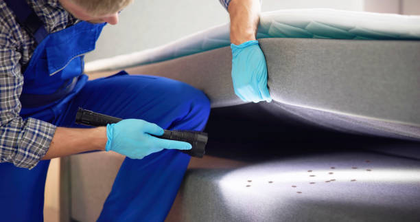 Professional Pest Control in Wiggins, CO