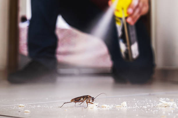 Best Pest Control Near Me in Wiggins, CO